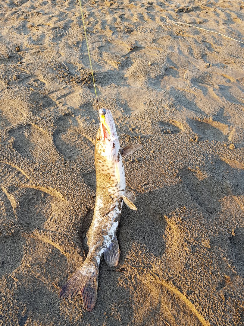 20180508_192041.jpg