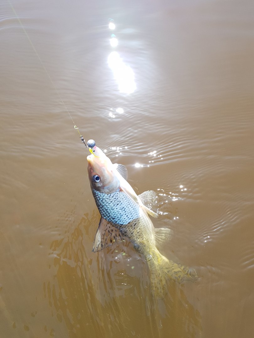 20180509_103949.jpg