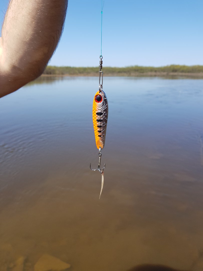 20180509_110857.jpg