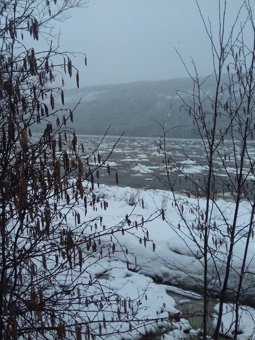 20180512_140931.jpg