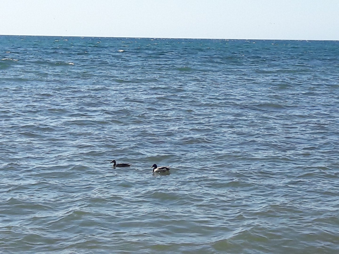 20180512_234340.jpg