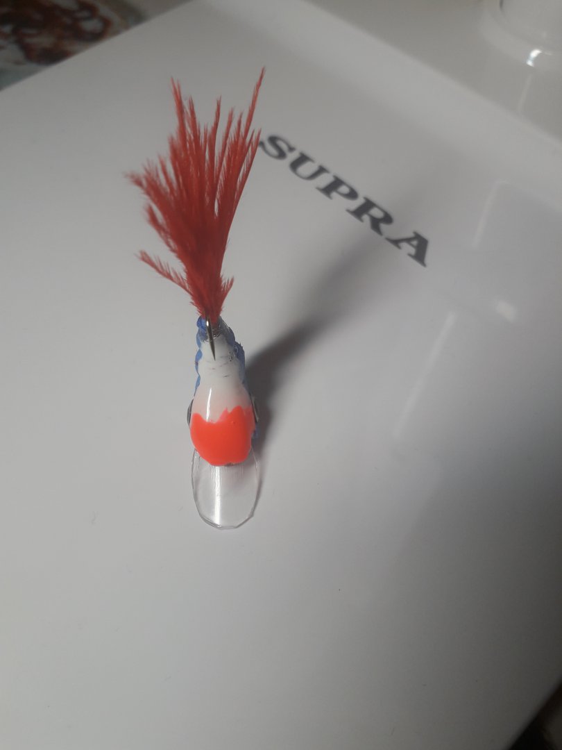 20180514_205141.jpg