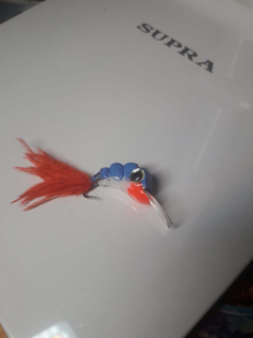 20180514_205201.jpg