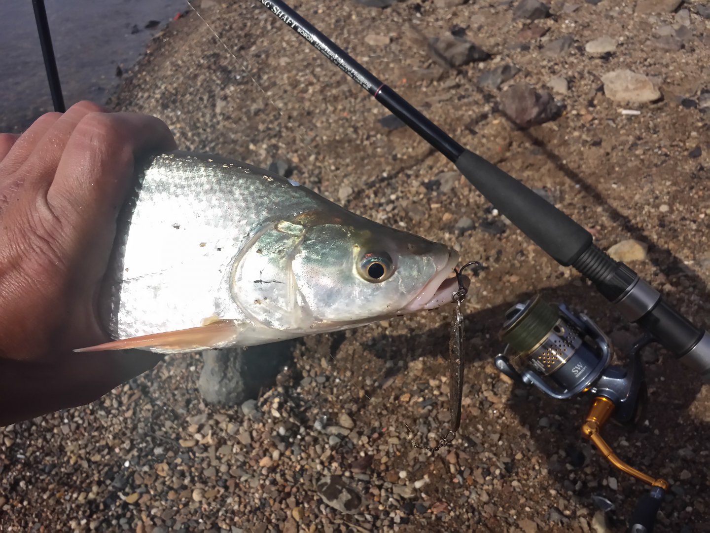 20180515_171047_LLS.jpg