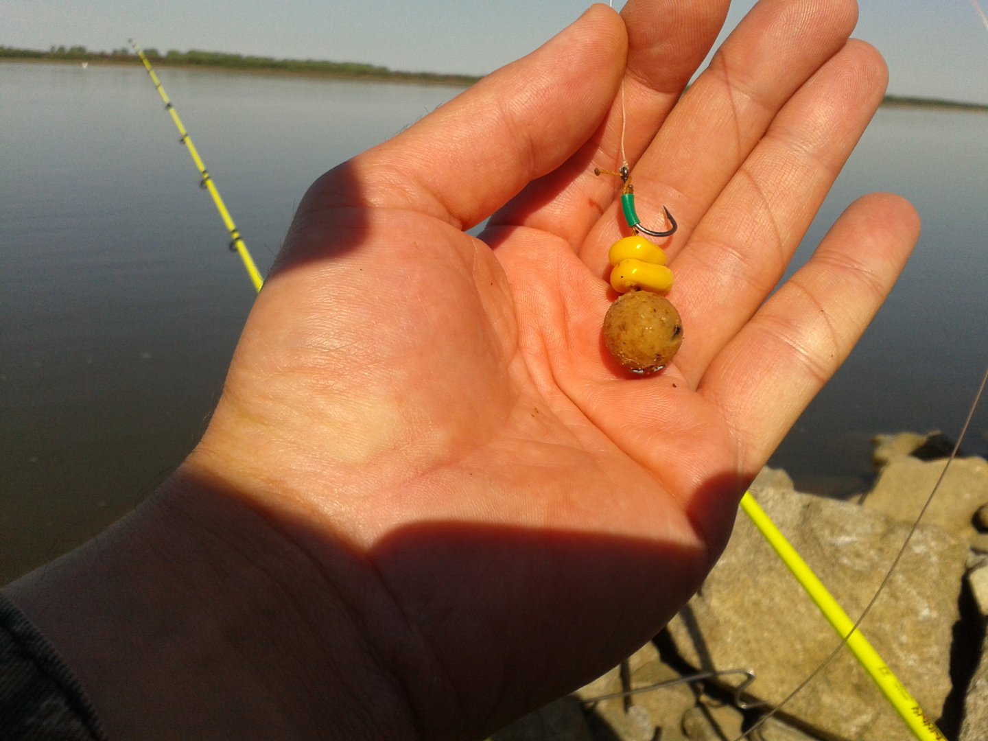 20180517_090229.jpg