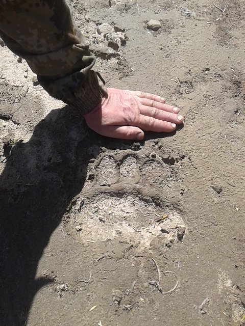 20180517_145850.jpg