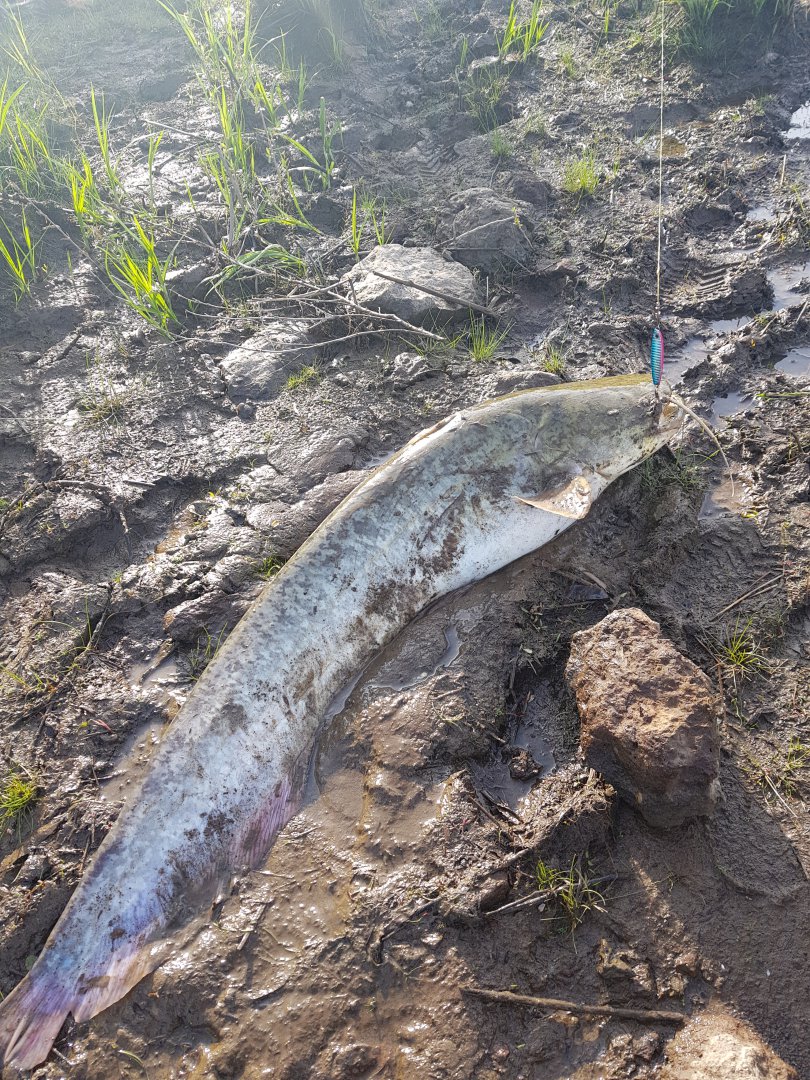20180524_074838.jpg