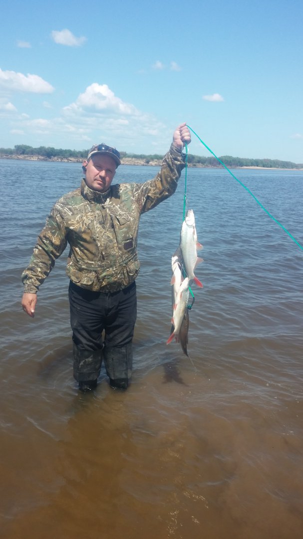 20180527_141148.jpg