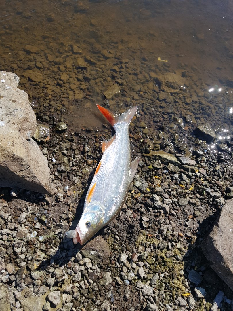 20180531_153711.jpg
