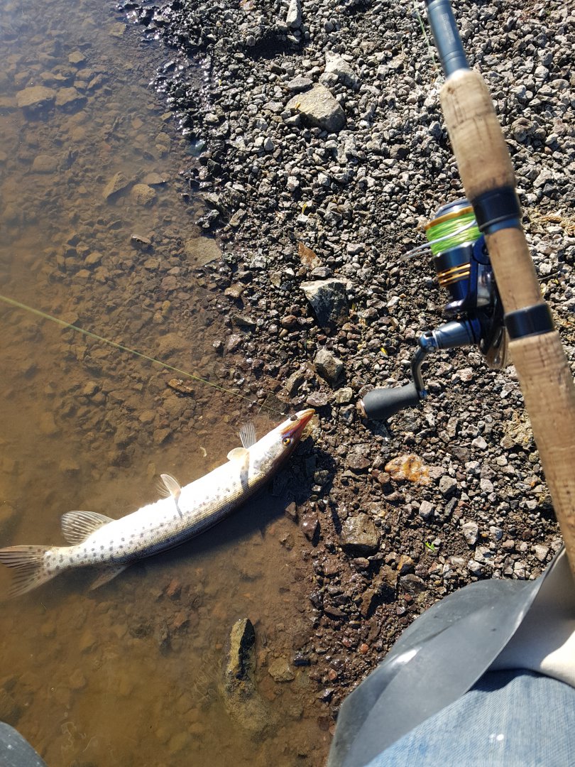 20180531_171925.jpg