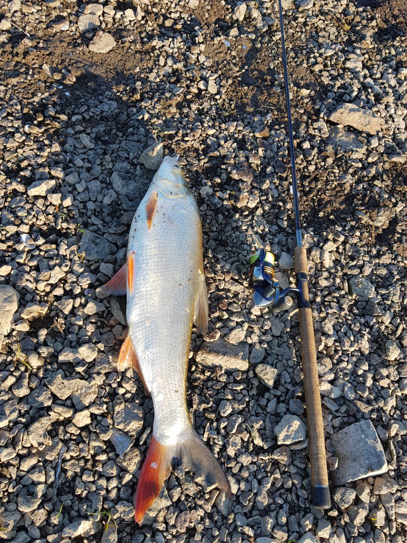 20180531_185956.jpg