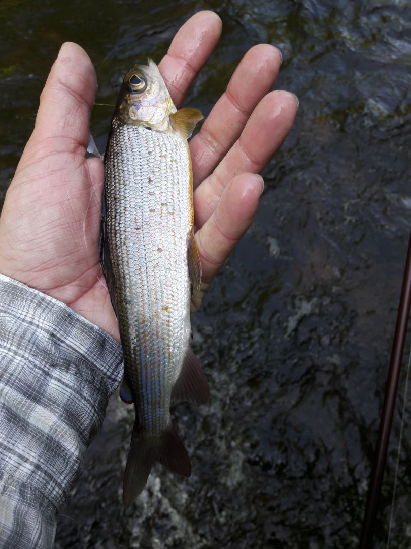 20180602_102834.jpg