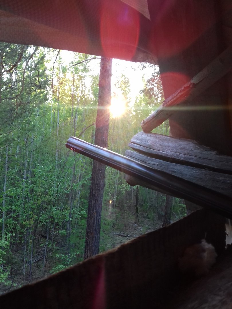 20180604_203414.jpg