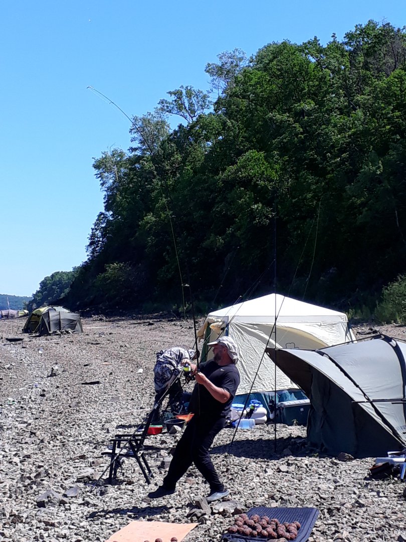 20180610_115459.jpg