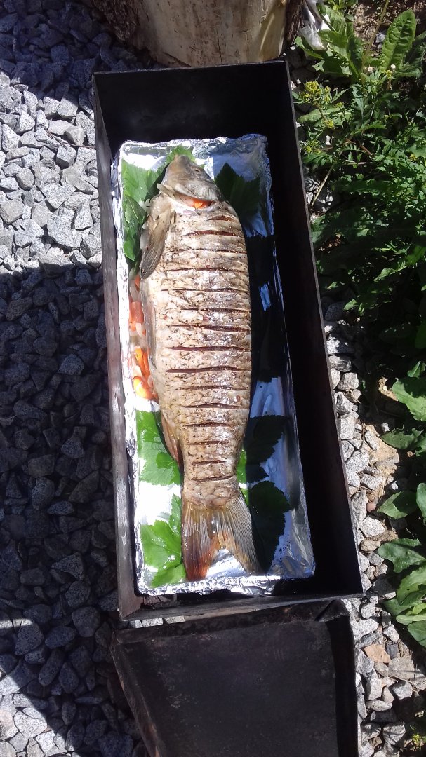20180610_120943.jpg