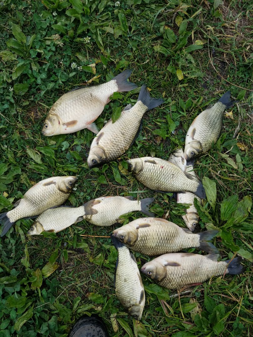 20180616_125256.jpg