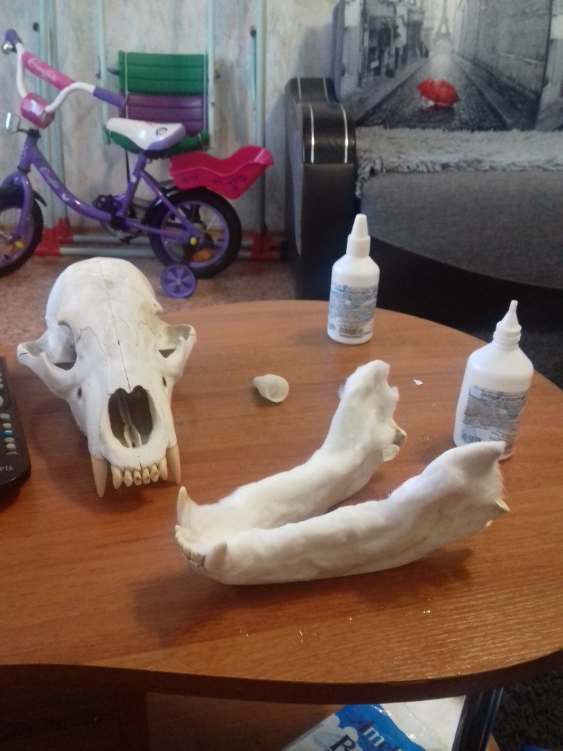 20180617_201327.jpg