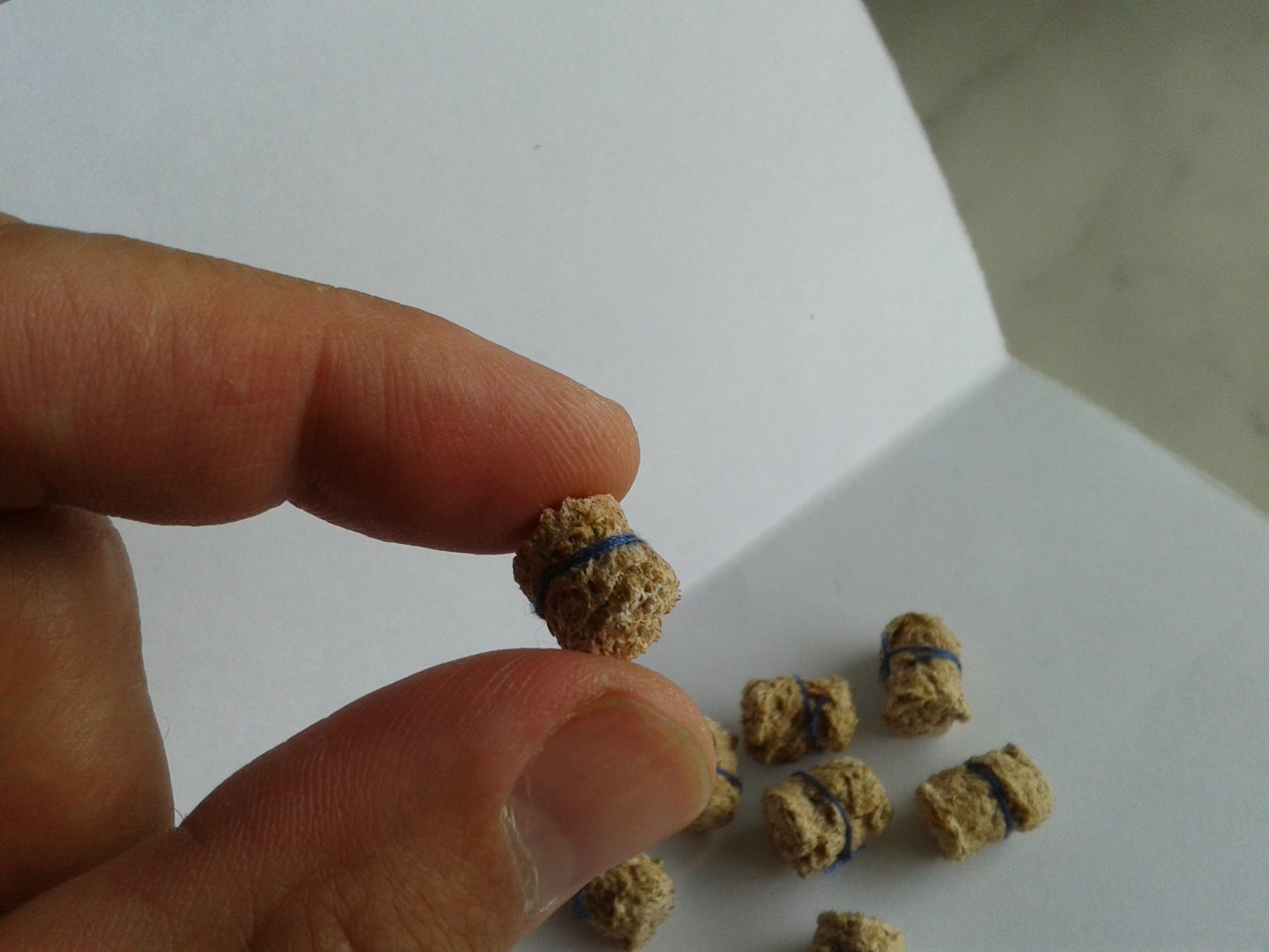20180619_135245.jpg