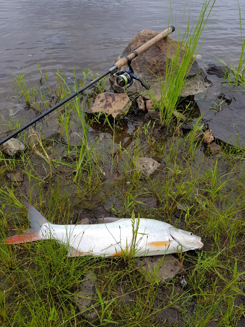 20180623_161946.jpg