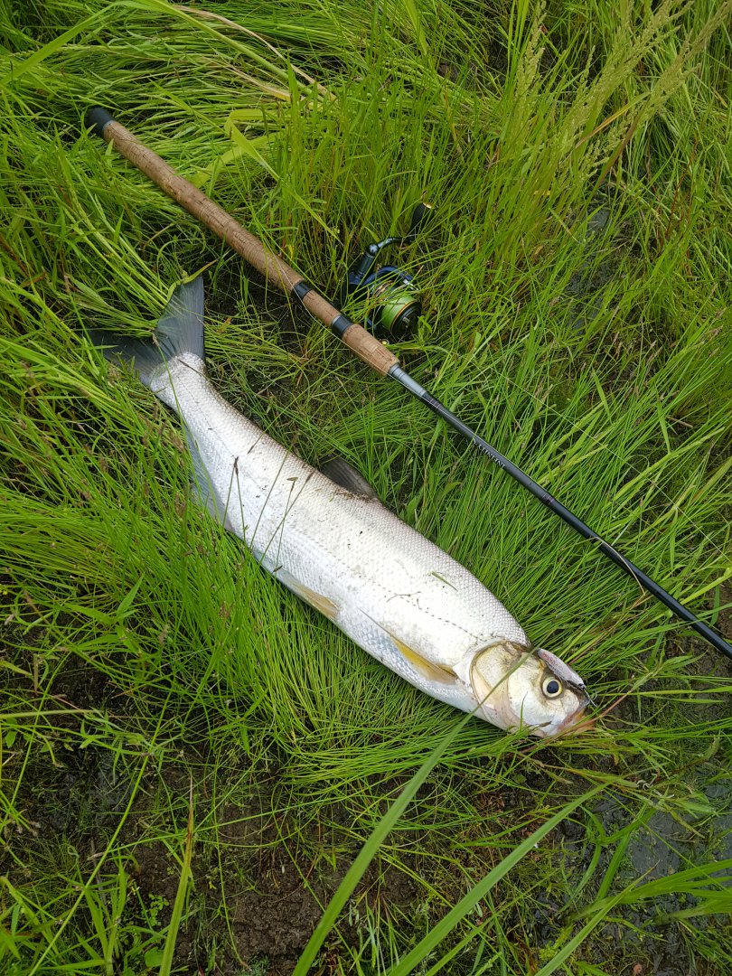 20180623_171318.jpg