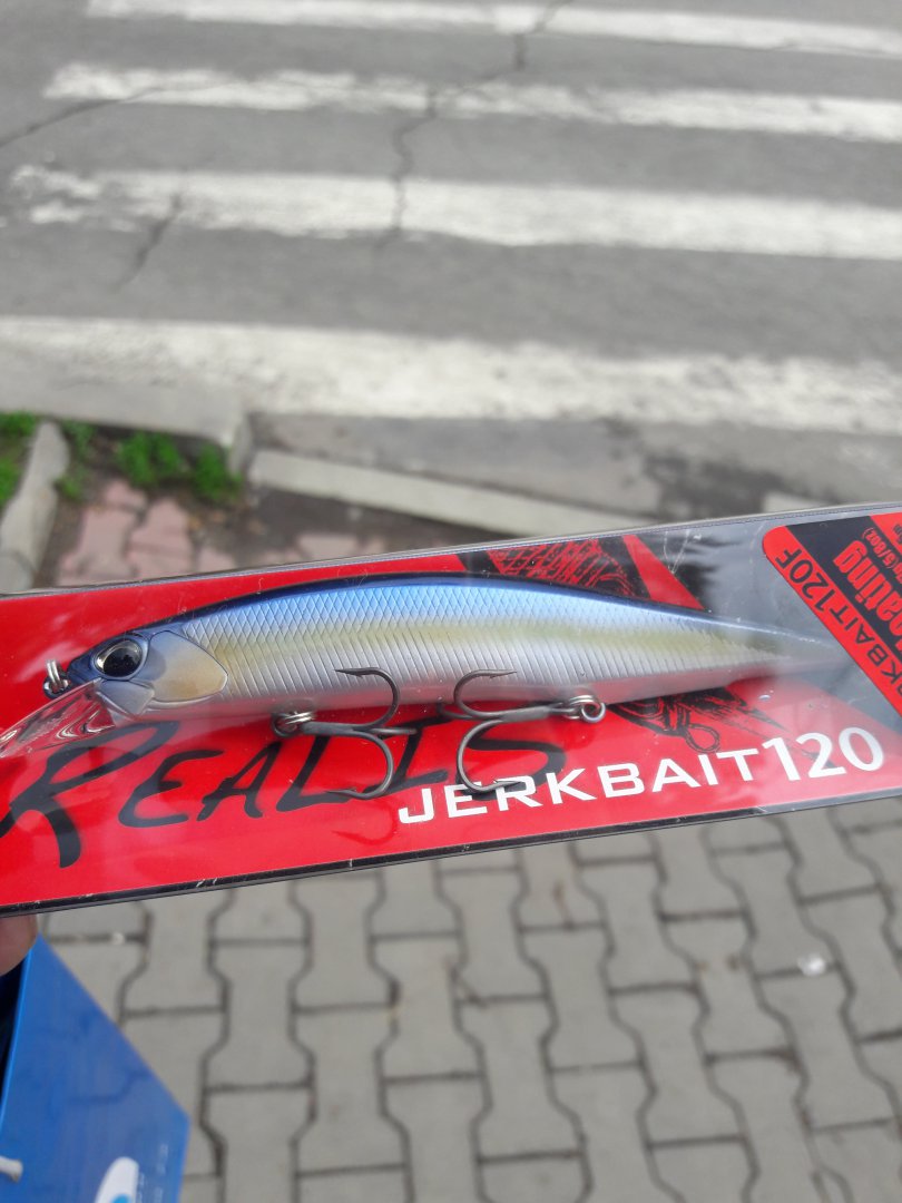 20180628_113131.jpg