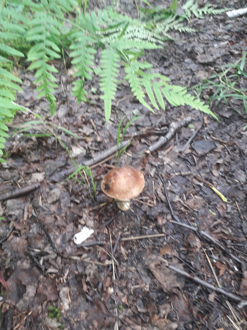 20180701_091209.jpg