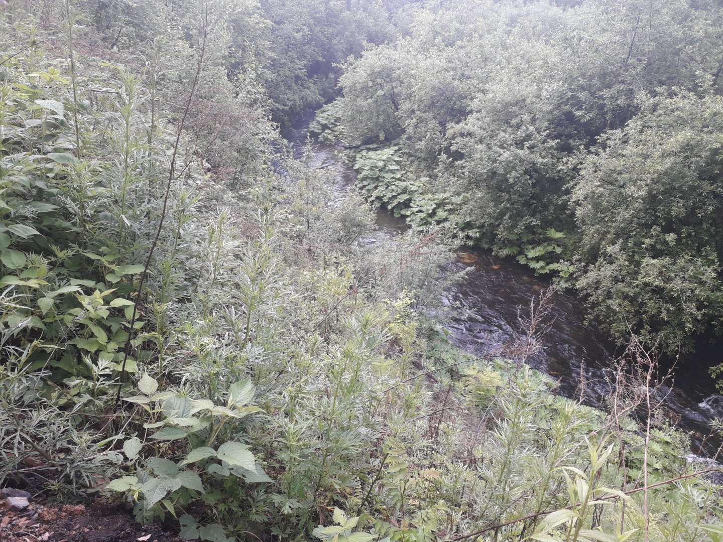 20180701_092212.jpg