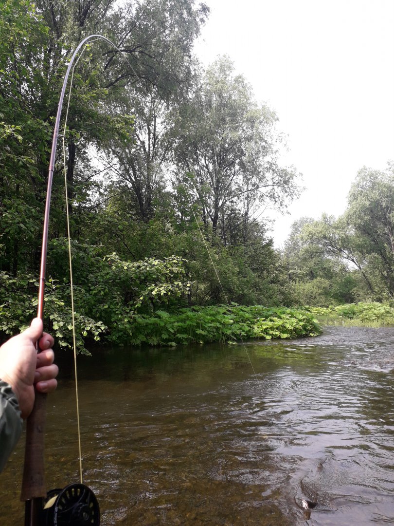 20180701_095350.jpg