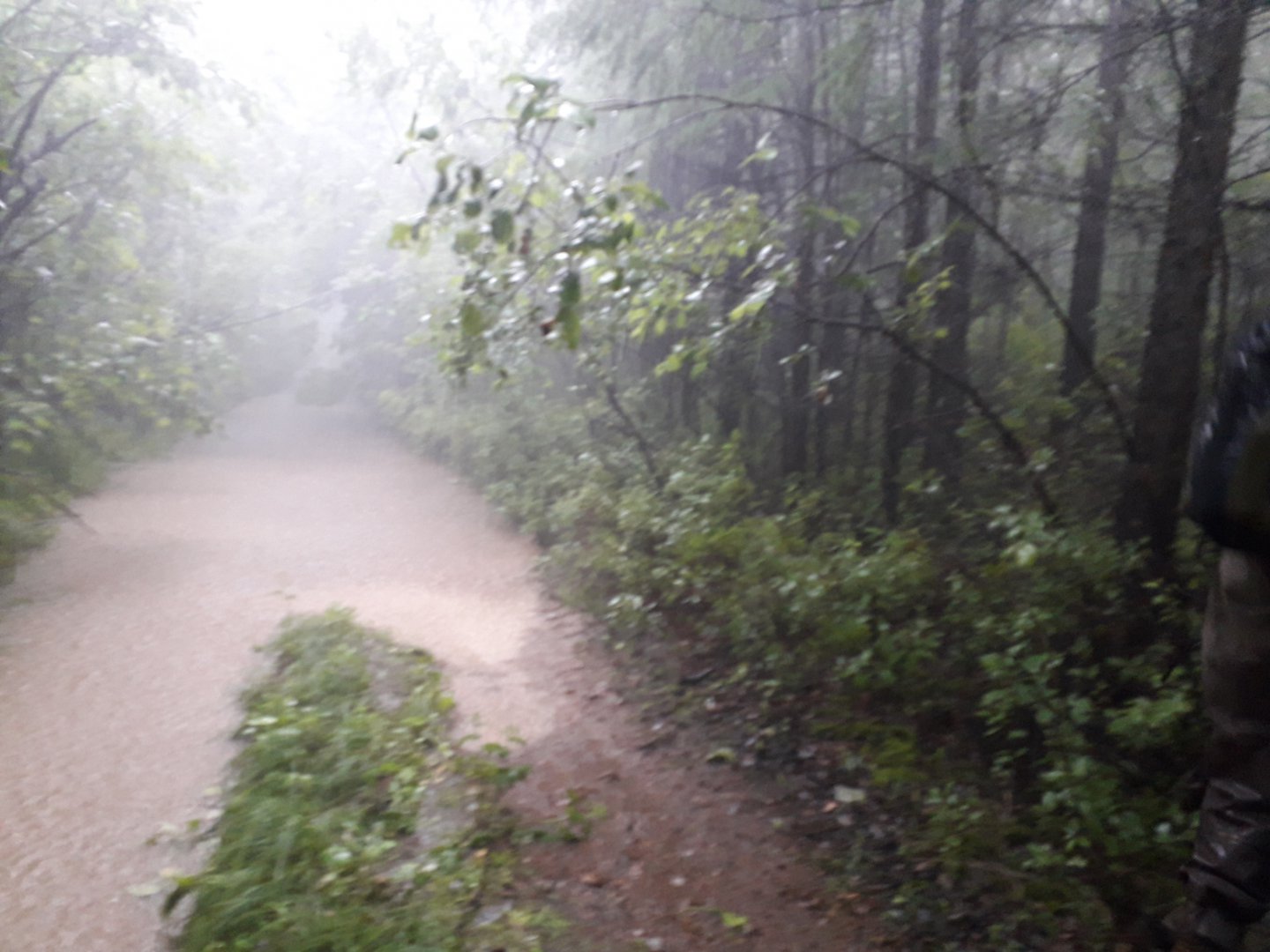 20180701_165433.jpg