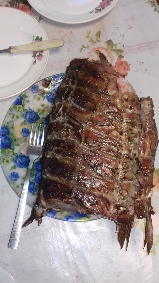 20180707_192102.jpg