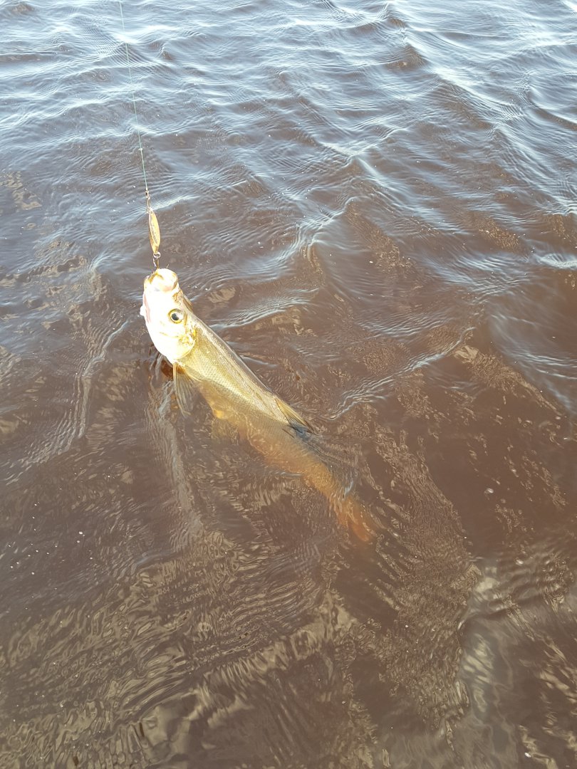 20180711_192841.jpg