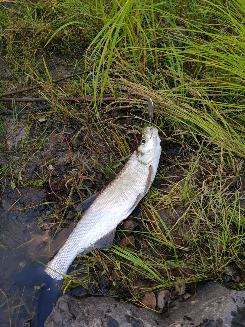 20180711_203508.jpg