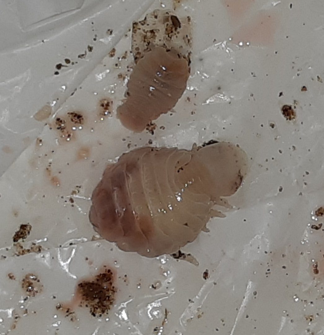 20180715_135953.jpg