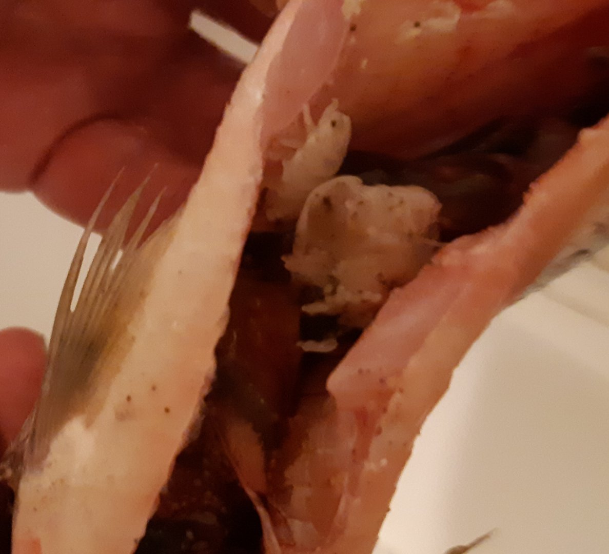 20180715_140024.jpg