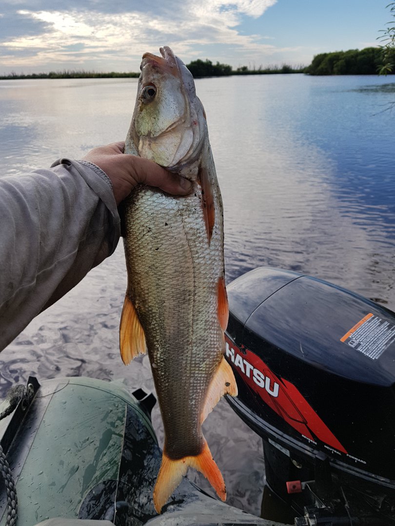 20180717_183951.jpg