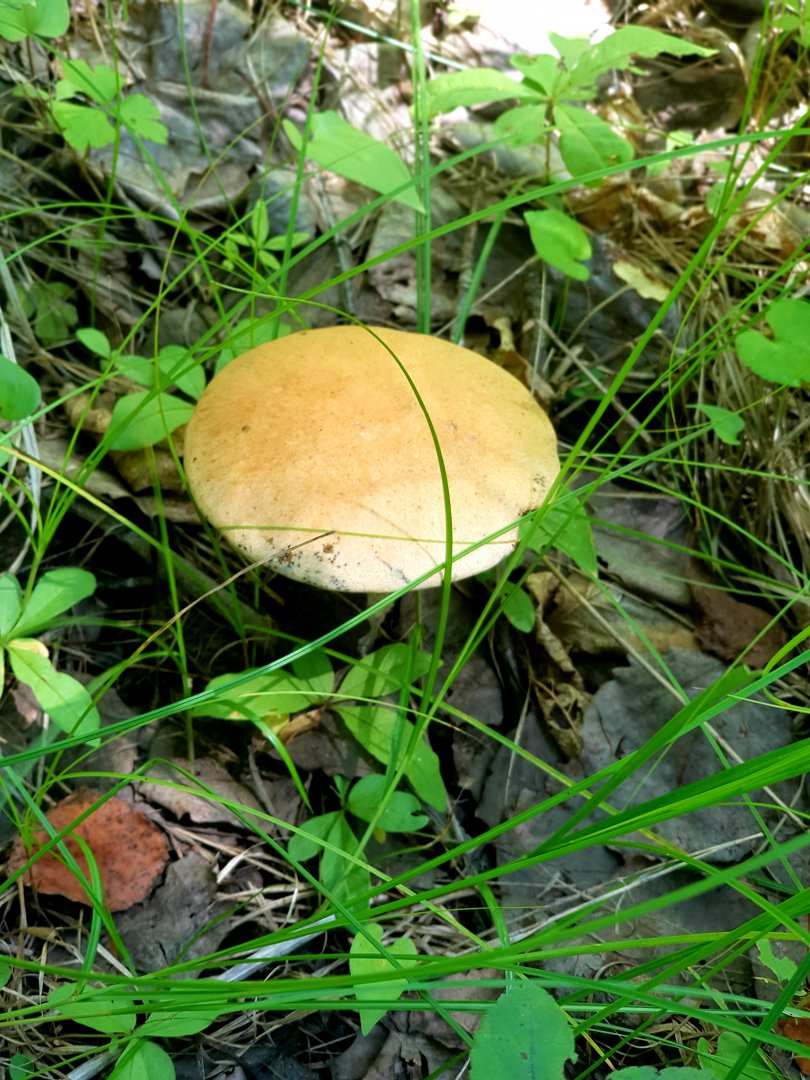 20180717_221235.jpg