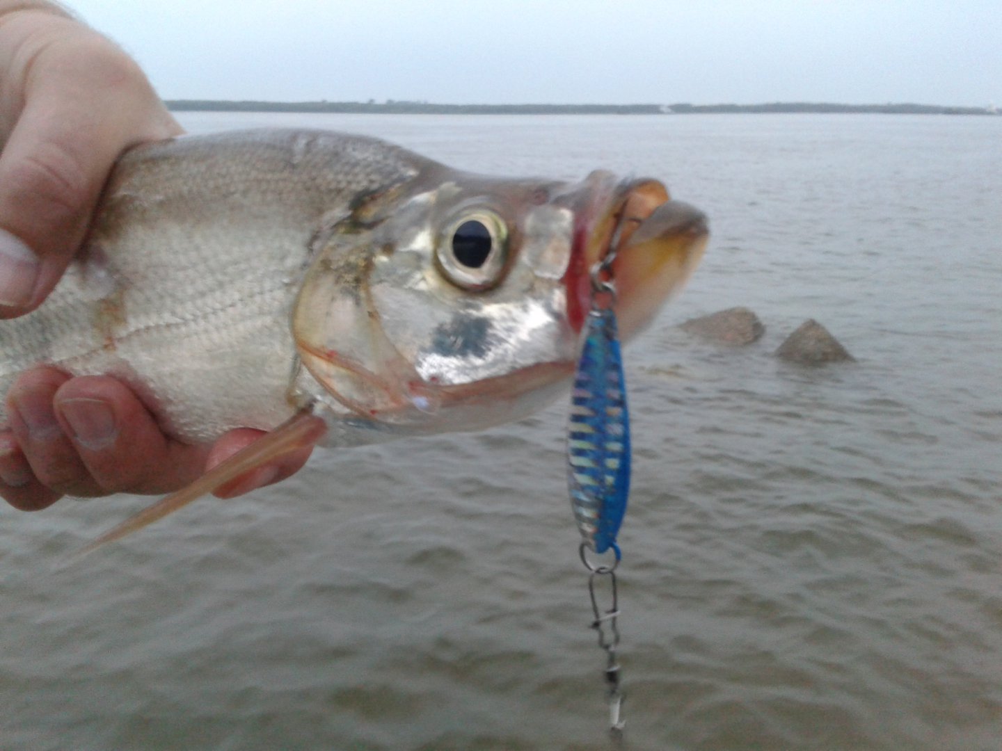 20180719_052324.jpg