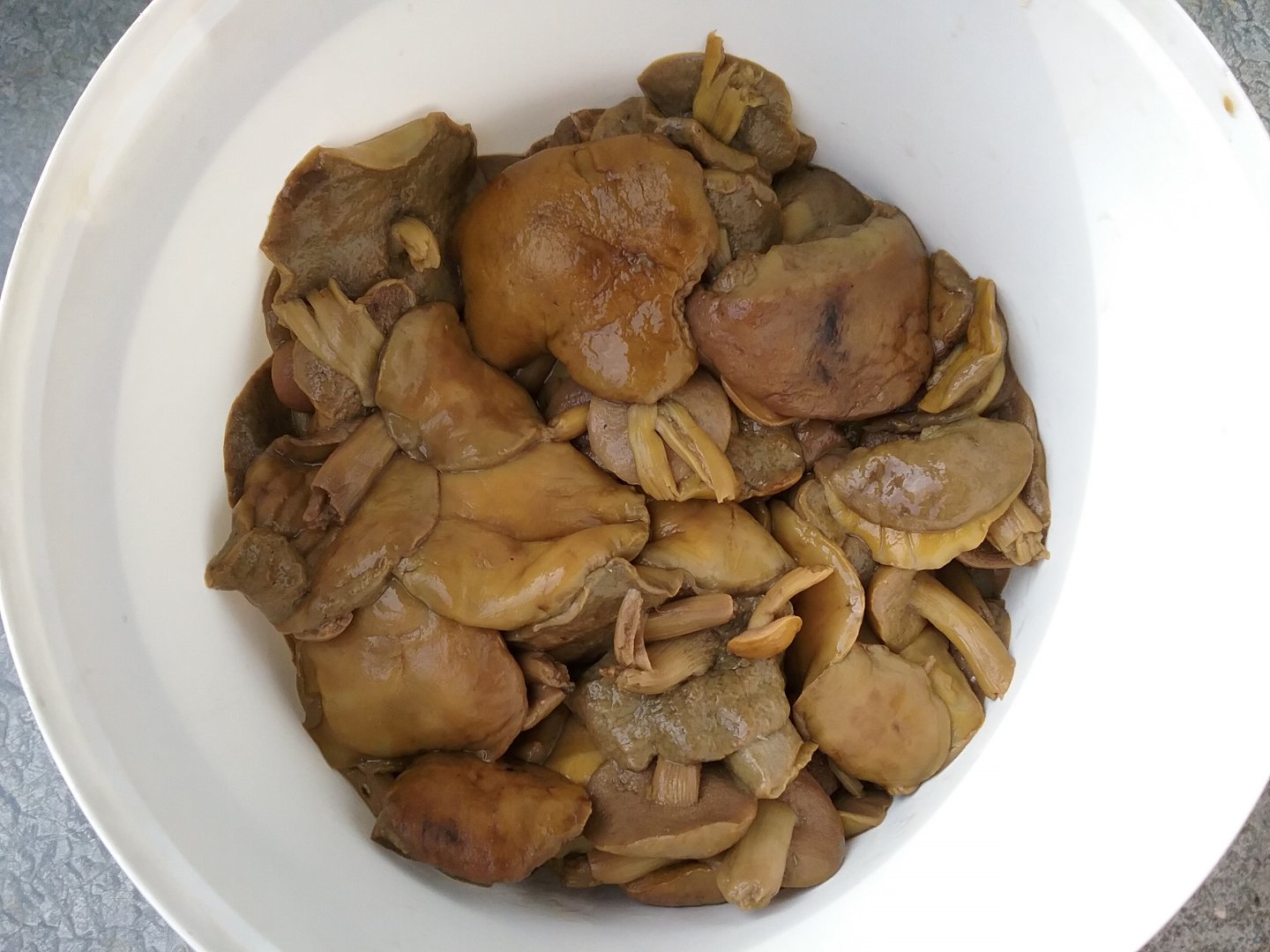 20180721_175156.jpg