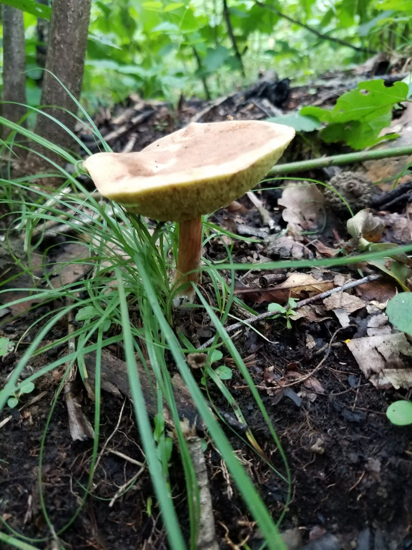 20180722_102723.jpg
