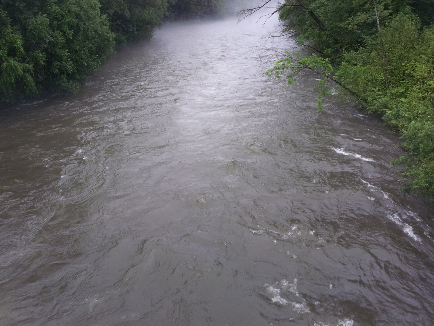 20180728_063118.jpg