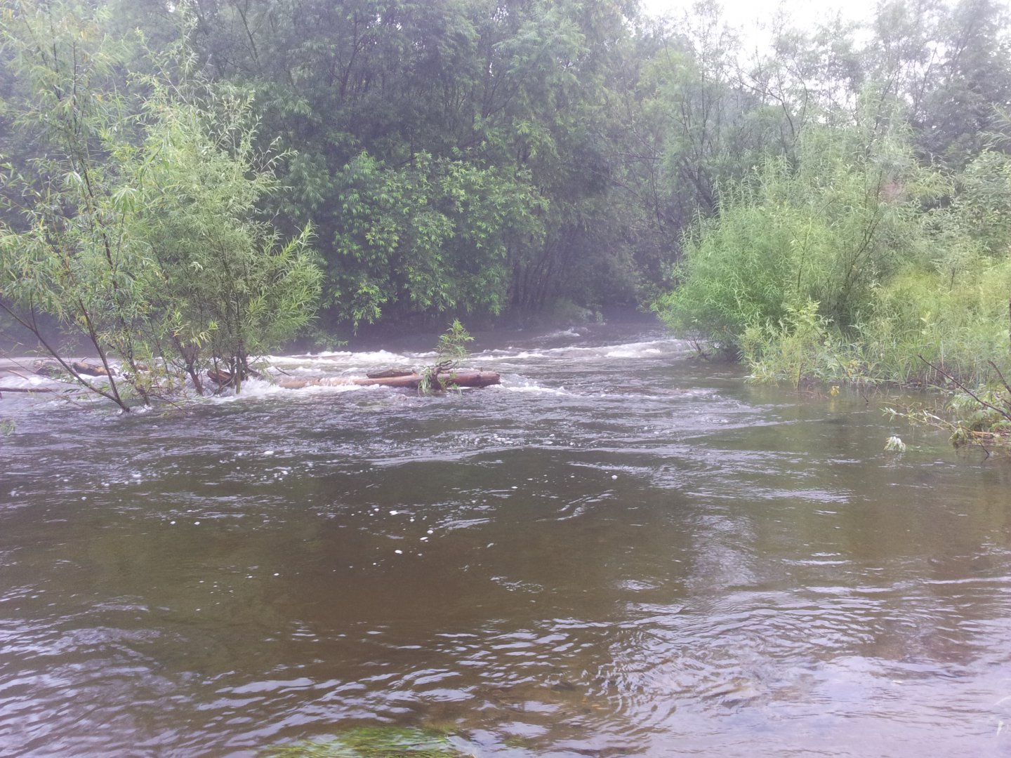 20180728_070256.jpg