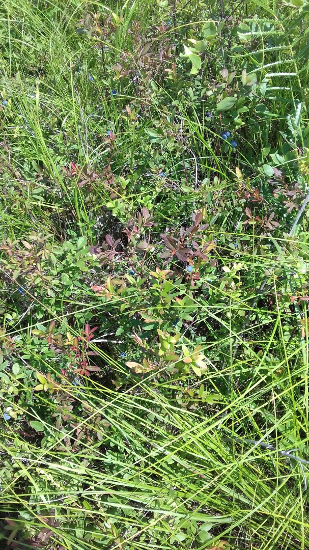 20180728_124338.jpg