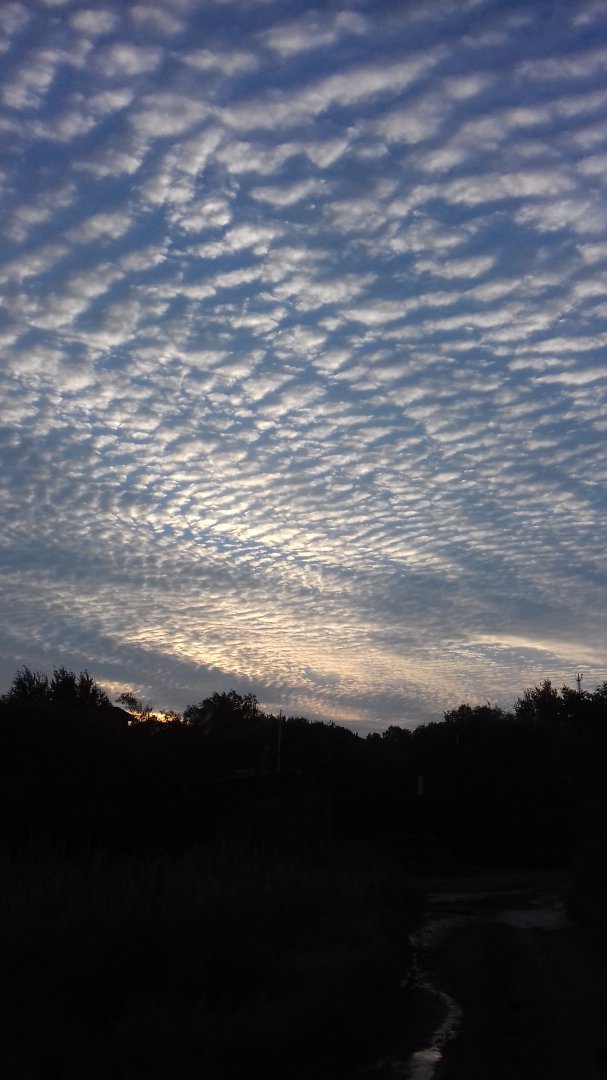 20180731_055607.jpg