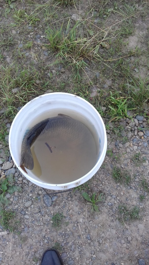 20180731_093730.jpg