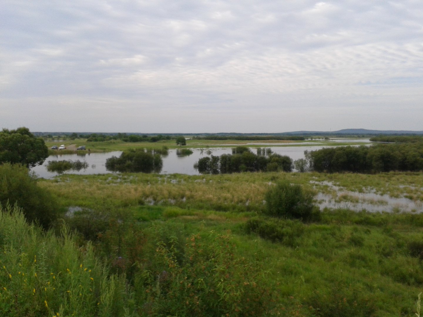 20180802_084754.jpg