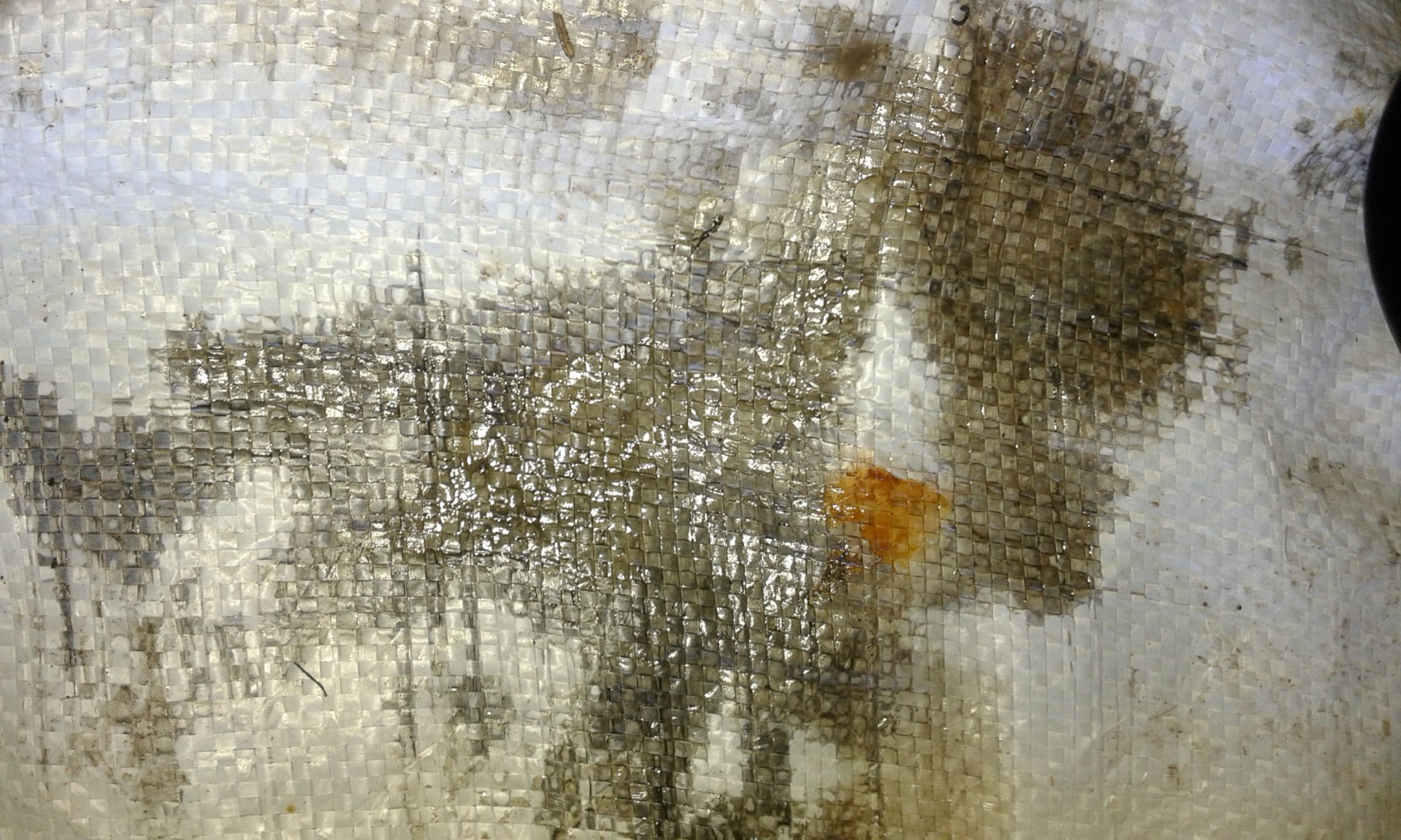 20180806_160747.jpg