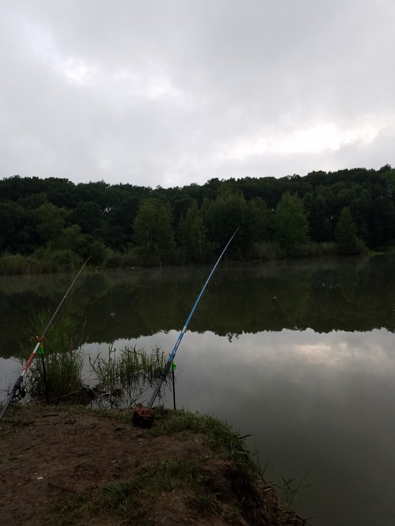 20180811_061057.jpg