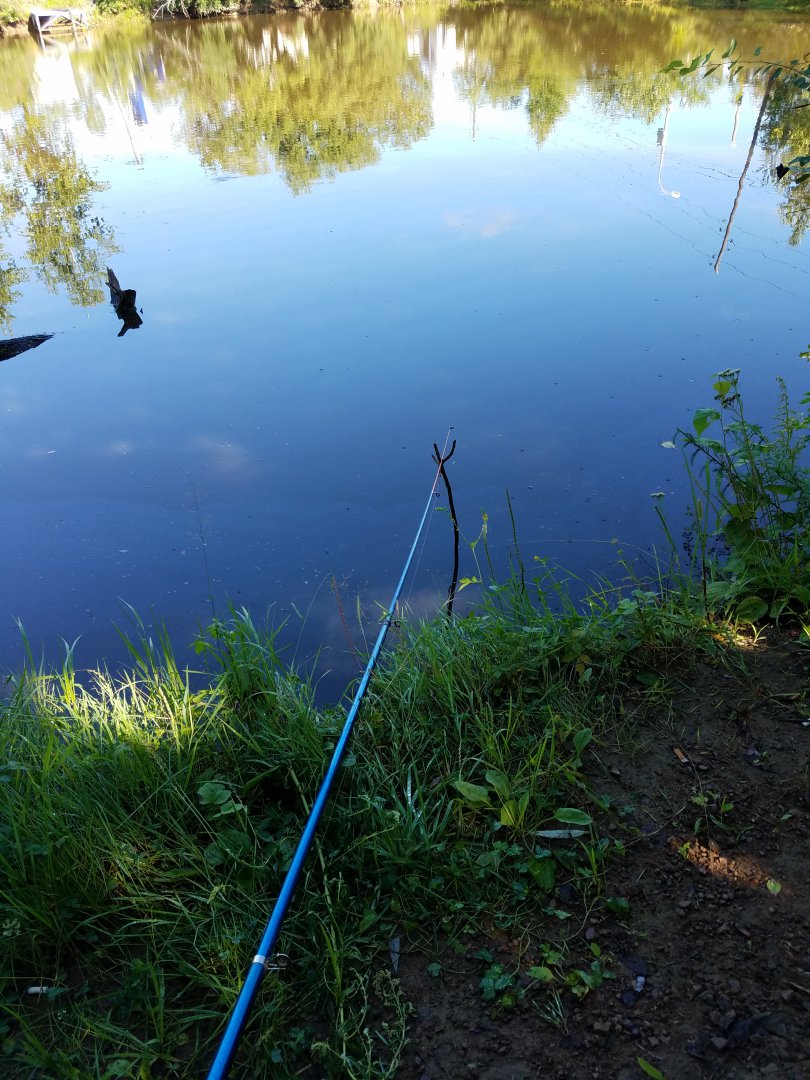 20180814_094042.jpg