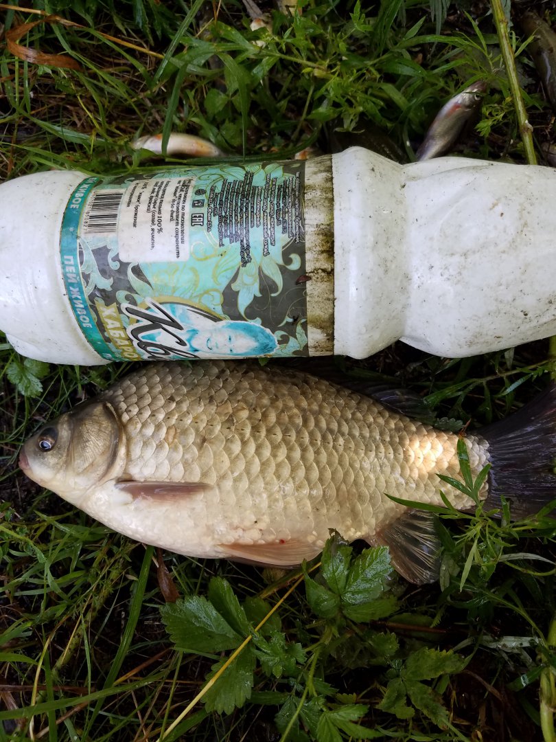 20180814_105539.jpg