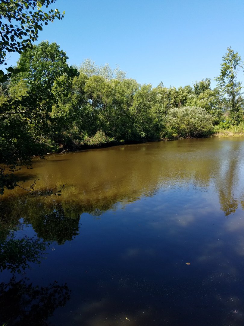 20180814_110140.jpg
